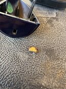 IMG_1171.jpeg