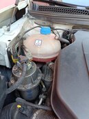 IMG20250321114923.jpg