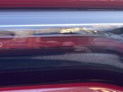 IMG_8281.jpeg