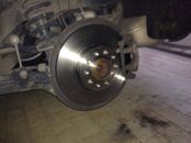 IMG_2643.jpeg