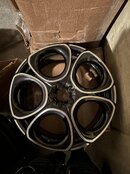 IMG_7168.jpeg