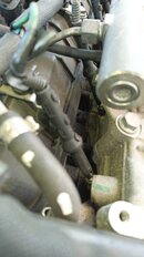 IMG_20250427_102219_755.jpg