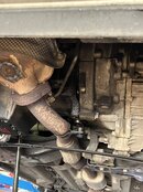 IMG_9966.jpeg