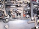 alfa2.jpg