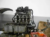 DSCN3777.webp