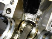 DSCN3782.webp