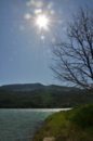 DSC_0402.jpg