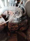 egr1.webp