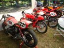 DSC05235.jpg