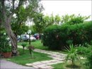 DSCF4346.JPG