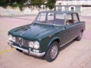 Giulia 6.jpg