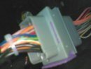 Connettore D1.jpg