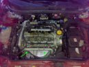 motore1.9 JTDm 16v.jpg