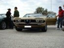 DSC00413.jpg