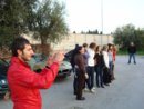 DSC00445.jpg