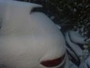 alfa 147 sotto la neve 4.jpg