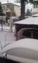IMAG0021.jpg