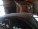 Alfa.244 neve.jpg