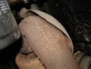 DSC08170.jpg