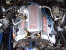 SUC50565.JPG
