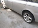 SDC10953.jpg