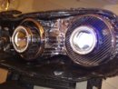 25022010058.jpg