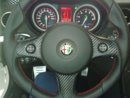 16032010013.jpg