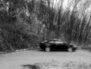 Alfa1-1280x960.jpg