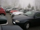Alfa3.jpg