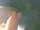 16052010762.jpg