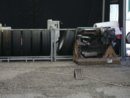 dsc00770.jpg
