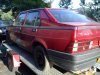 lory 2610.jpg