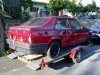 lory 2612.jpg