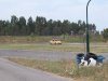 100_1560.jpg