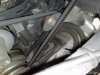 29072010059.jpg