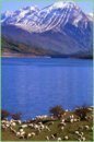 Lago di Campotosto.jpg