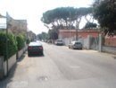 DSC00379.JPG
