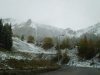 P7190048.jpg