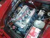 Foto0556.jpg
