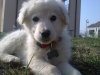 07022011216.jpg