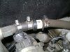 DSC01117.jpg