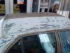 DSC00009.jpg