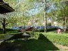 DSC08589.jpg