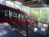 DSC08622.jpg