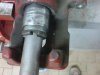 DSC03104.jpg