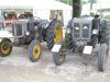 DSC01447.jpg