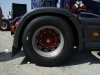 DSC01310.jpg