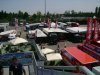 DSC01369.jpg
