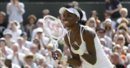 Venus Williams.jpg