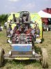DSC01491.jpg